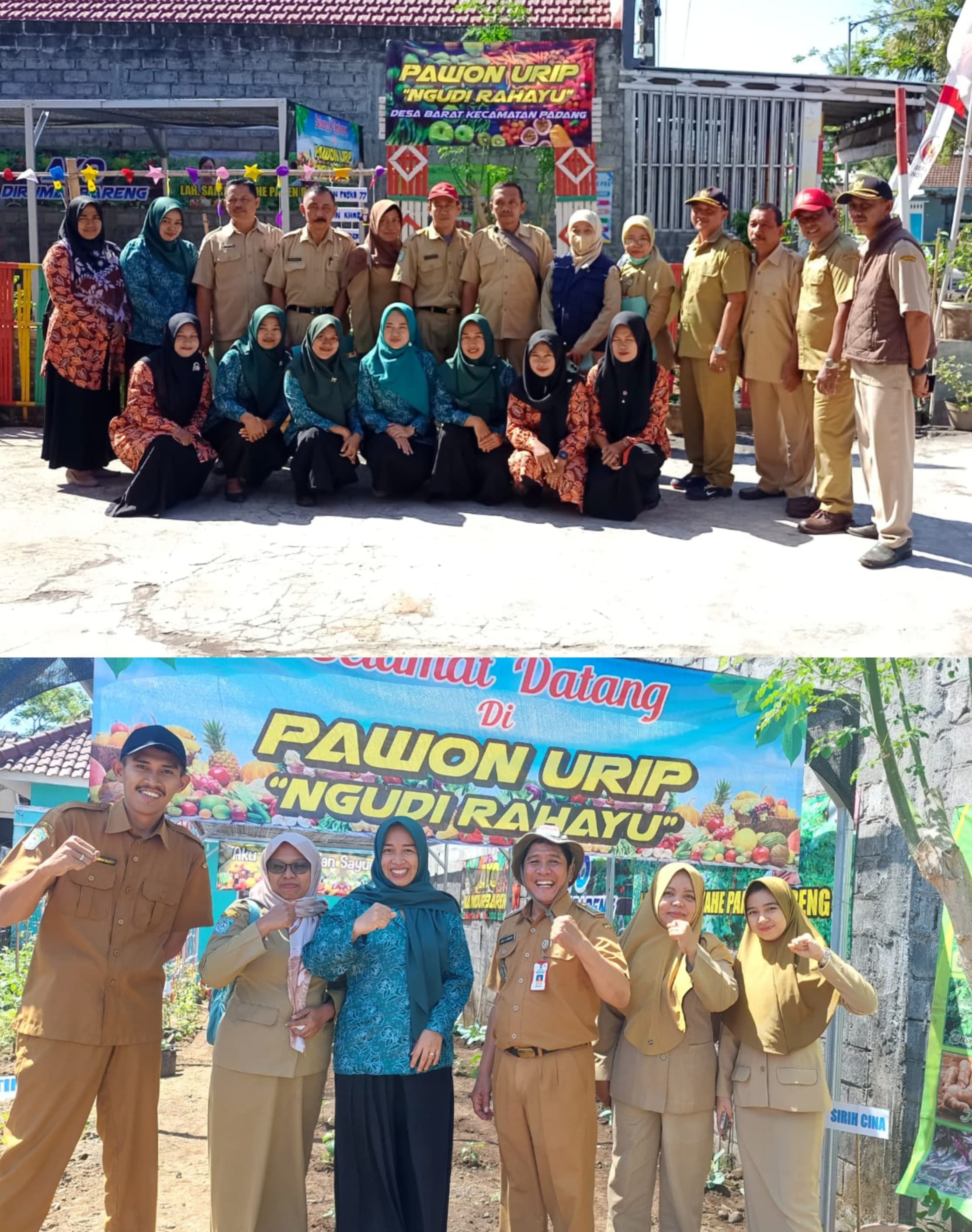 LOMBA PAWON URIP, AJANG KREATIVITAS MENGOLAH TUMBUHAN HIJAU!